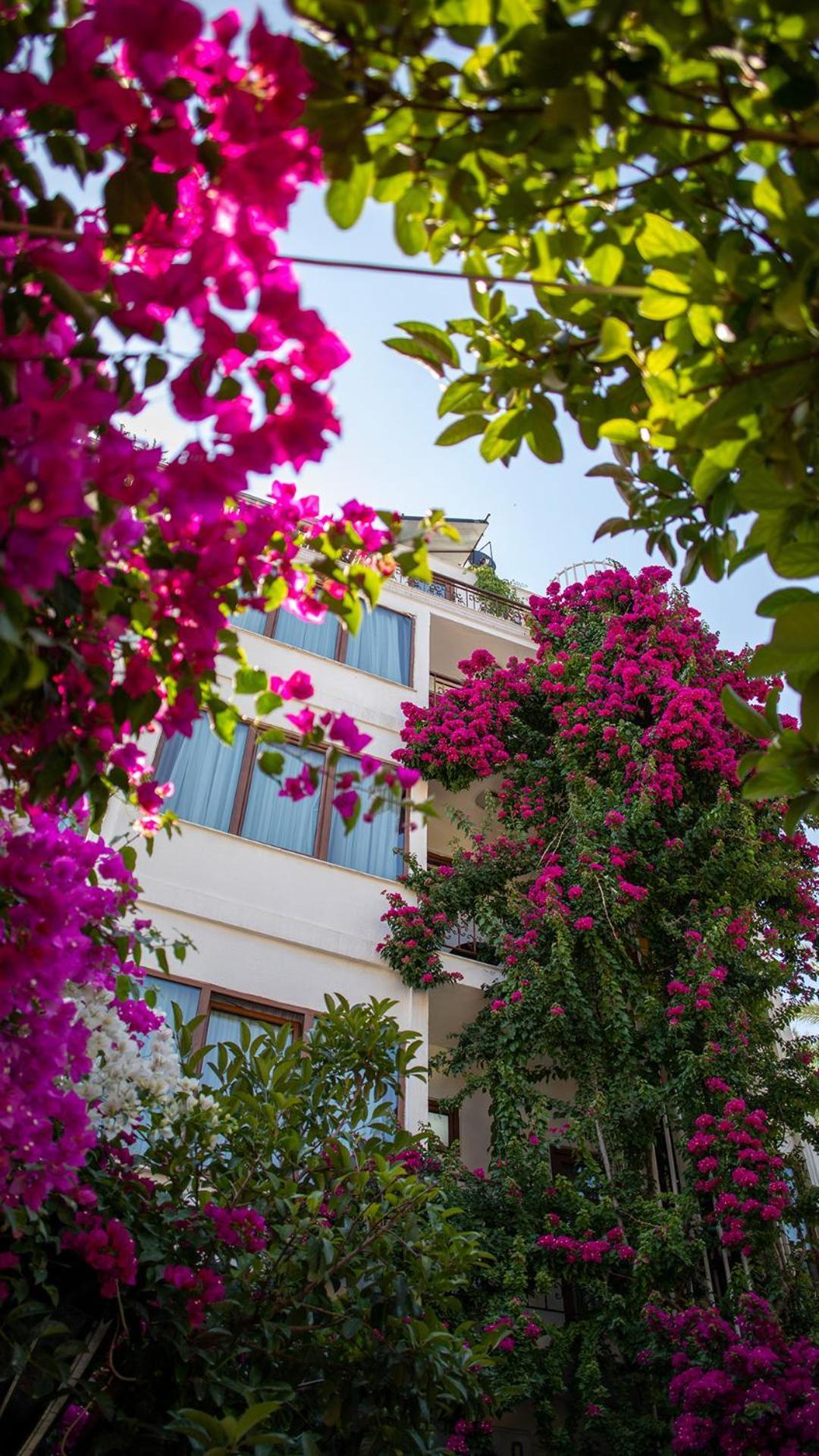 Patron Hotel Antalya Luaran gambar